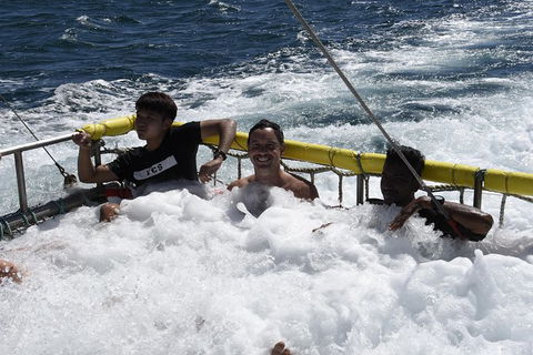 Jervis Bay Boom Netting And Dolphins Tour - 1 Gold Coast 9