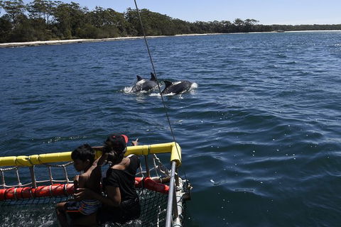 Jervis Bay Boom Netting And Dolphins Tour - 1 Gold Coast 6