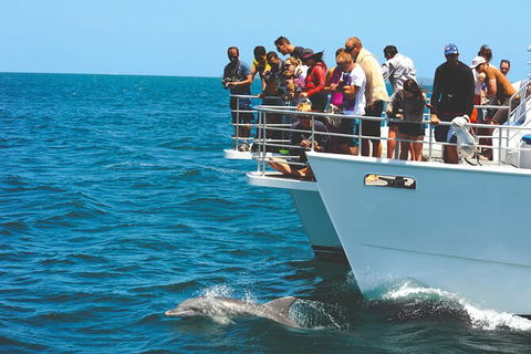 Jervis Bay Boom Netting And Dolphins Tour - 1 Gold Coast 10