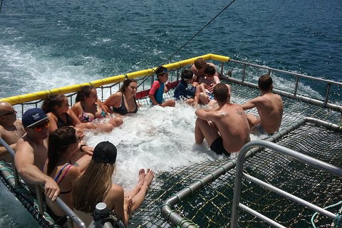 Jervis Bay Boom Netting And Dolphins Tour - 1 Gold Coast 4