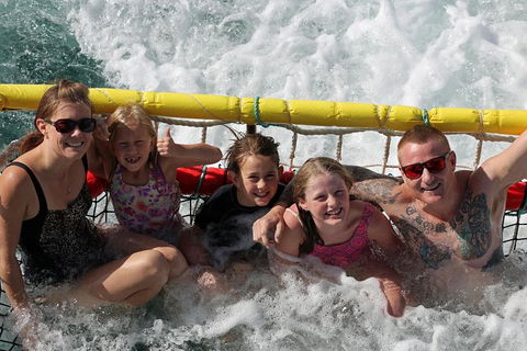 Jervis Bay Boom Netting And Dolphins Tour - 1 Gold Coast 11