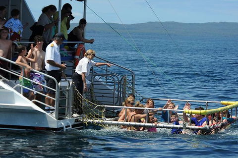 Jervis Bay Boom Netting And Dolphins Tour - 1 Gold Coast 5