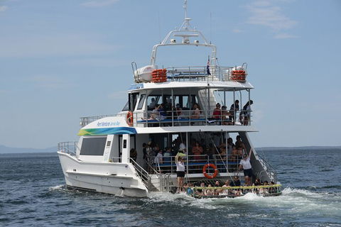 Jervis Bay Boom Netting And Dolphins Tour - 1 Gold Coast 12
