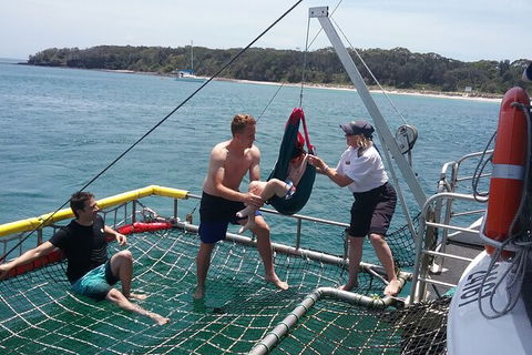 Jervis Bay Boom Netting And Dolphins Tour - 1 Gold Coast 7