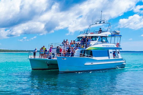 Jervis Bay Boom Netting And Dolphins Tour - 1 Gold Coast 3