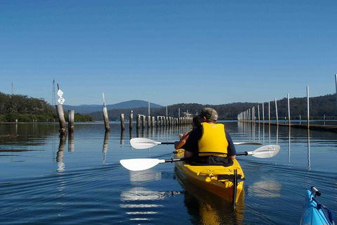 Batemans Bay Oyster Tasting Kayak Tour - Gold Coast 4U 0