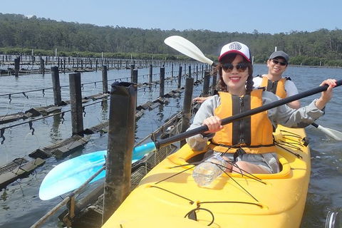 Batemans Bay Oyster Tasting Kayak Tour - Gold Coast 4U 5