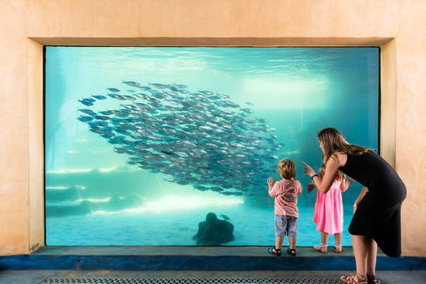 AQWA The Aquarium Of Western Australia - Accommodation Gold Coast 0