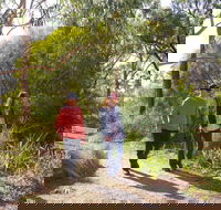 Arthurs Seat Circuit Walk - Accommodation Gold Coast