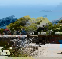 Arthurs Seat State Park - Accommodation Gold Coast