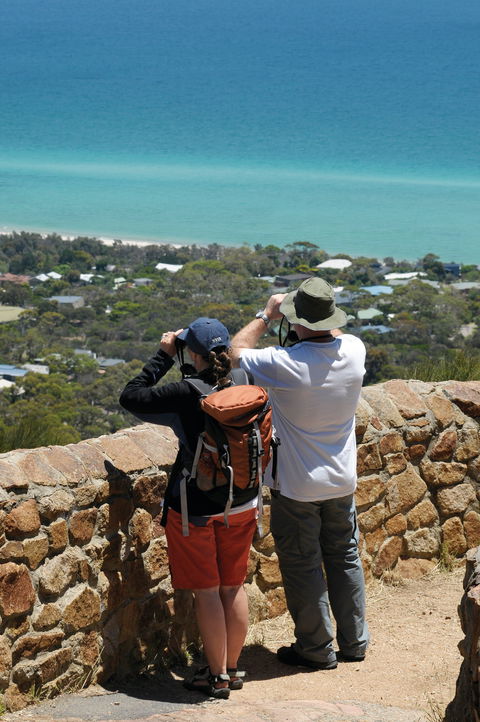 Arthurs Seat State Park - Accommodation Gold Coast 2