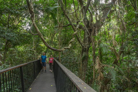 Barron Gorge National Park - 1 Gold Coast 2
