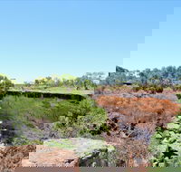 Bladensburg National Park - Accommodation Gold Coast