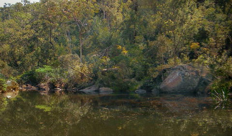 Blue Pool Walking Track - 1 Gold Coast 0