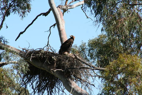 Castle Creek Reserve - Gold Coast 4U 0