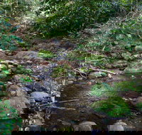 Cascades picnic area - 1 Gold Coast