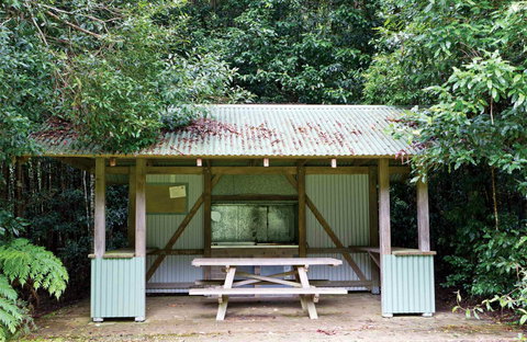 Coachwood Picnic Area - Accommodation Gold Coast 0