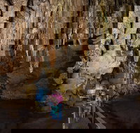 Cutta Cutta Caves Nature Park - 1 Gold Coast