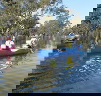 Doodle Cooma Swamp - Accommodation Gold Coast