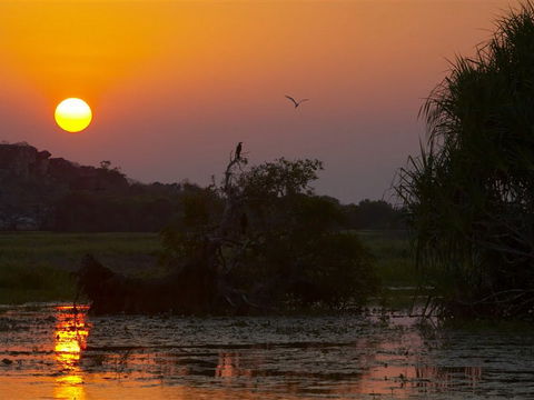East Arnhem Land - 1 Gold Coast 1