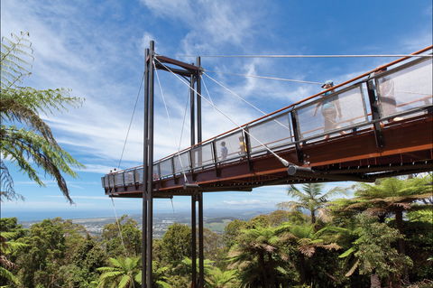 Forest Sky Pier, Sealy Lookout - 1 Gold Coast 0