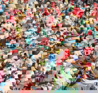 Gnomesville - Accommodation Gold Coast