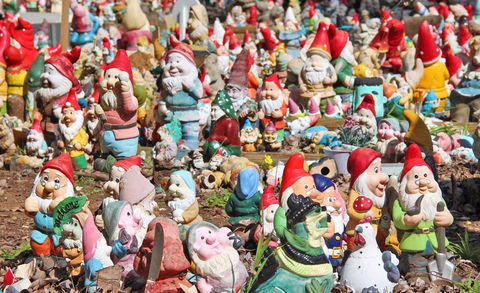 Gnomesville - 1 Gold Coast 0