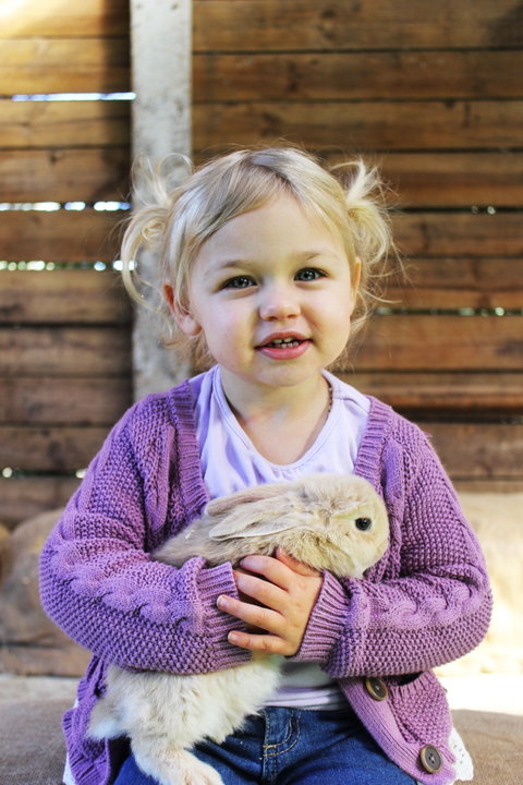 Golden Ridge Animal Farm - Accommodation Gold Coast 0