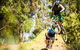 Greenvalleys Mountain Bike Park - thumb 2
