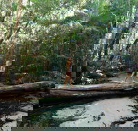 Great Beach Drive - 3 Day Itinerary - Accommodation Gold Coast