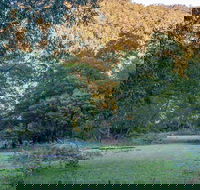 Griffins walking track - Gold Coast 4U