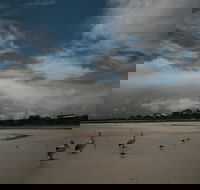 Hardwicke Bay - Accommodation Gold Coast