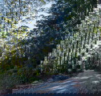 Hastings Forest Way Touring Route - 1 Gold Coast