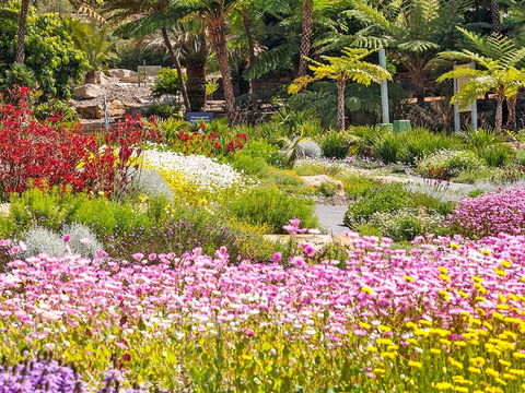 Jurassic Garden AR Experience - Accommodation Gold Coast 0