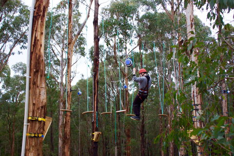 Kinglake Forest Adventures - Accommodation Gold Coast 0