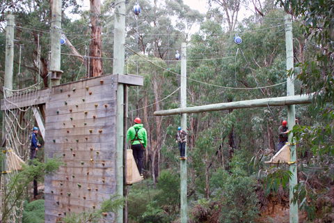 Kinglake Forest Adventures - Accommodation Gold Coast 1