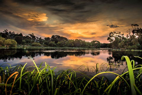 Lake McIntyre - Accommodation Gold Coast 0