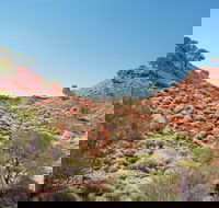 Lark Quarry Conservation Park - Accommodation Gold Coast