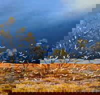 Lyn Barnes Gallery - Gold Coast 4U