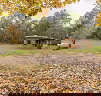 Major Clews Hut Walking Track - Accommodation Gold Coast