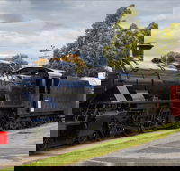 Margate Train - The - Gold Coast 4U