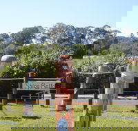 Maryboroughs Bollards - Accommodation Gold Coast