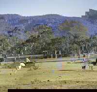 Megalong Valley - Accommodation Gold Coast