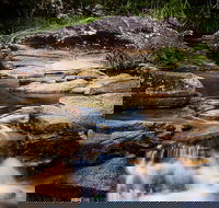 Mothar Mountain Rockpools - Accommodation Gold Coast