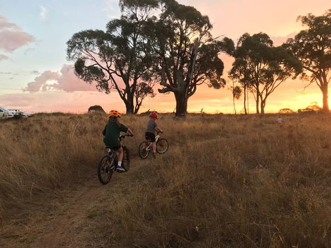 Mountain Bike Trails Tumbarumba - Accommodation Gold Coast 2