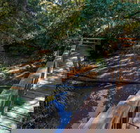 Ms Kellys Walking Track - 1 Gold Coast