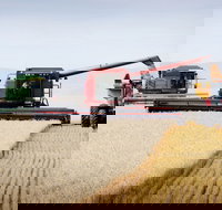 Mullaley - Accommodation Gold Coast