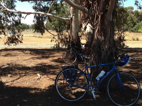 Murchison Rail Trail - Accommodation Gold Coast 0
