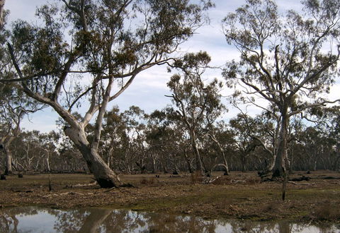 Murchison Rail Trail - Accommodation Gold Coast 1