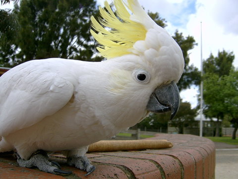 Myuna Farm - Accommodation Gold Coast 1